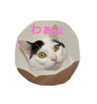 むぎさんと可愛い仲間達（個別スタンプ：4）