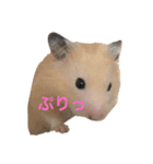 むぎさんと可愛い仲間達（個別スタンプ：6）