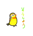 しゃれな野鳥（個別スタンプ：5）