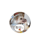 すぅくん1 つぶやき編（個別スタンプ：5）
