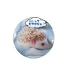 すぅくん1 つぶやき編（個別スタンプ：6）