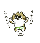 ぱんつねこのスタンプ（個別スタンプ：1）