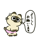 ぱんつねこのスタンプ（個別スタンプ：5）