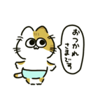 ぱんつねこのスタンプ（個別スタンプ：8）