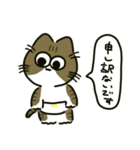 ぱんつねこのスタンプ（個別スタンプ：11）