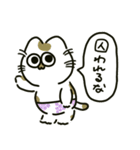 ぱんつねこのスタンプ（個別スタンプ：16）
