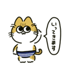 ぱんつねこのスタンプ（個別スタンプ：17）