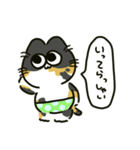ぱんつねこのスタンプ（個別スタンプ：18）