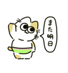 ぱんつねこのスタンプ（個別スタンプ：20）