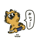 ぱんつねこのスタンプ（個別スタンプ：25）