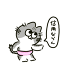 ぱんつねこのスタンプ（個別スタンプ：30）