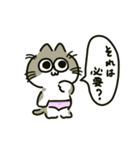 ぱんつねこのスタンプ（個別スタンプ：38）