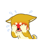 照れる柴犬（個別スタンプ：3）
