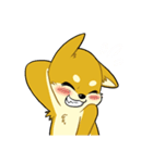 照れる柴犬（個別スタンプ：6）