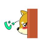 照れる柴犬（個別スタンプ：9）