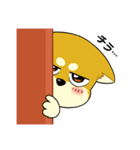 照れる柴犬（個別スタンプ：10）