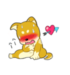 照れる柴犬（個別スタンプ：12）