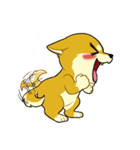 照れる柴犬（個別スタンプ：14）