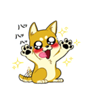 照れる柴犬（個別スタンプ：16）