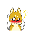 照れる柴犬（個別スタンプ：18）