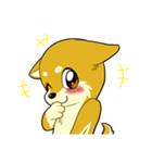 照れる柴犬（個別スタンプ：19）