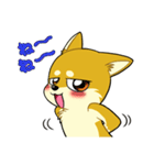 照れる柴犬（個別スタンプ：24）