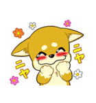 照れる柴犬（個別スタンプ：25）