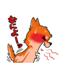 照れる柴犬（個別スタンプ：26）