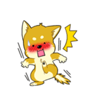 照れる柴犬（個別スタンプ：27）