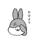 うさぎのまん丸くん 1（個別スタンプ：2）