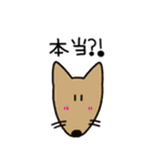 日常会話動物園（個別スタンプ：27）