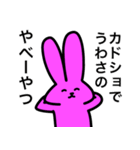カードゲームうさぎ3（個別スタンプ：1）