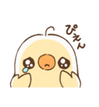 ピヨ彦2（個別スタンプ：12）