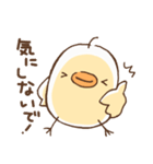 ピヨ彦2（個別スタンプ：17）