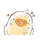 ピヨ彦2（個別スタンプ：33）