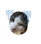 m,n（個別スタンプ：5）