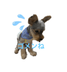 ネグ（個別スタンプ：3）
