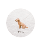 つかいづらいイヌのすたんぷ（個別スタンプ：3）