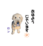 我が家の犬たち！（個別スタンプ：2）