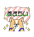 猛コーギー（個別スタンプ：29）