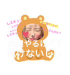 kicha様スタンプ5口癖（個別スタンプ：3）