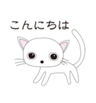 かわいいねこの日常会話（個別スタンプ：1）