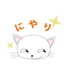 かわいいねこの日常会話（個別スタンプ：13）
