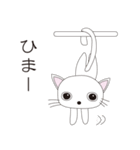 かわいいねこの日常会話（個別スタンプ：17）