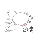 ウイルス2020に対するかわいい小さなマウス（個別スタンプ：11）