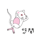 ウイルス2020に対するかわいい小さなマウス（個別スタンプ：27）