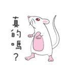 ウイルス2020に対するかわいい小さなマウス（個別スタンプ：31）