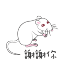 ウイルス2020に対するかわいい小さなマウス（個別スタンプ：38）