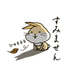 なんか普通の動物シリーズ・うさぎとサル（個別スタンプ：7）