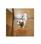 我が家のめる（個別スタンプ：1）